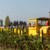 Balade touristique en petit train à travers les vignobles dans les Pyrénées-Orientales