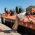 Travaux de restauration sur une péniche historique au bord du Canal du Midi.