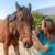 Vétérinaire réalisant un examen ophtalmologique sur un cheval à Béziers.